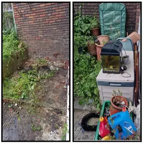 Bild von CLEAR-A-PEST Pest Control Ltd