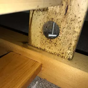 Bild von CLEAR-A-PEST Pest Control Ltd