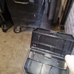 Bild von CLEAR-A-PEST Pest Control Ltd