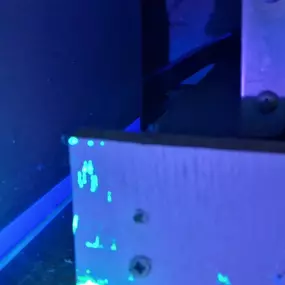 Bild von CLEAR-A-PEST Pest Control Ltd