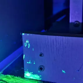 Bild von CLEAR-A-PEST Pest Control Ltd