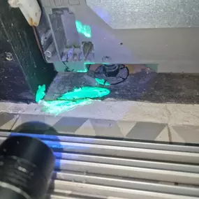 Bild von CLEAR-A-PEST Pest Control Ltd