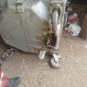 Bild von CLEAR-A-PEST Pest Control Ltd