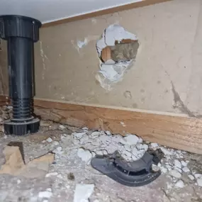 Bild von CLEAR-A-PEST Pest Control Ltd