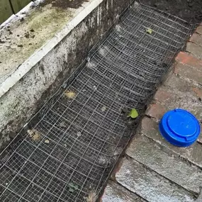 Bild von CLEAR-A-PEST Pest Control Ltd