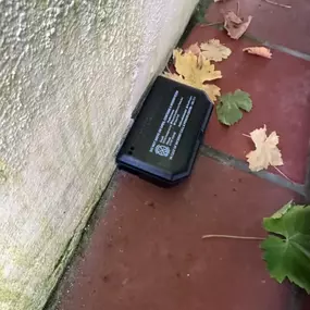 Bild von CLEAR-A-PEST Pest Control Ltd