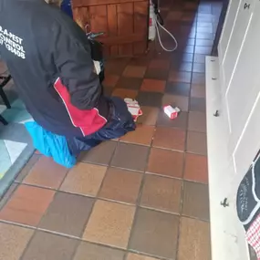 Bild von CLEAR-A-PEST Pest Control Ltd