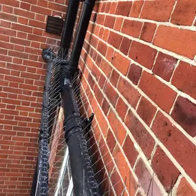 Bild von CLEAR-A-PEST Pest Control Ltd