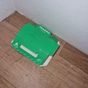 Bild von CLEAR-A-PEST Pest Control Ltd