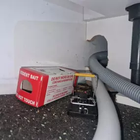 Bild von CLEAR-A-PEST Pest Control Ltd