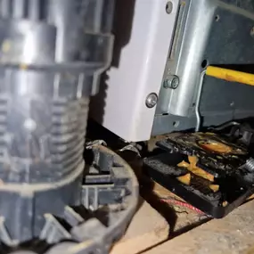 Bild von CLEAR-A-PEST Pest Control Ltd