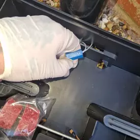 Bild von CLEAR-A-PEST Pest Control Ltd