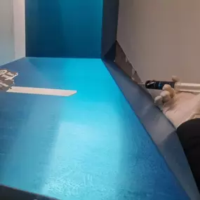 Bild von CLEAR-A-PEST Pest Control Ltd