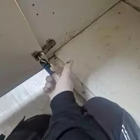 Bild von CLEAR-A-PEST Pest Control Ltd