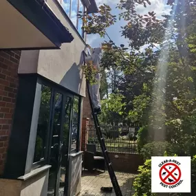 Bild von CLEAR-A-PEST Pest Control Ltd