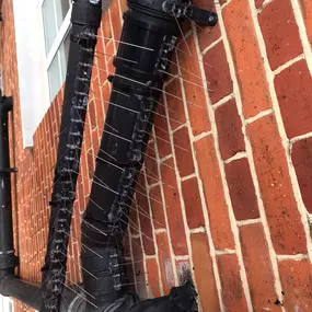 Bild von CLEAR-A-PEST Pest Control Ltd