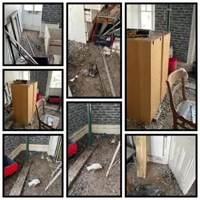 Bild von CLEAR-A-PEST Pest Control Ltd