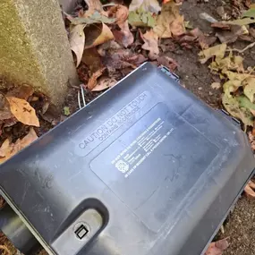 Bild von CLEAR-A-PEST Pest Control Ltd