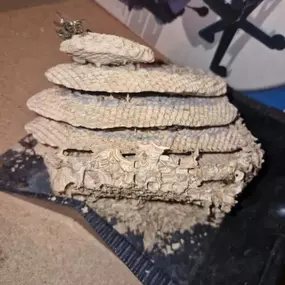 Bild von CLEAR-A-PEST Pest Control Ltd