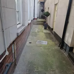 Bild von CLEAR-A-PEST Pest Control Ltd