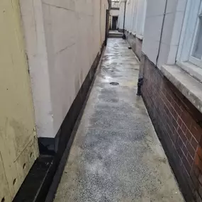 Bild von CLEAR-A-PEST Pest Control Ltd