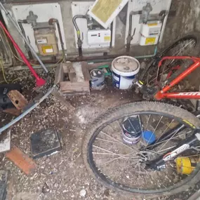 Bild von CLEAR-A-PEST Pest Control Ltd