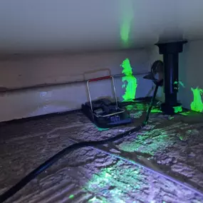 Bild von CLEAR-A-PEST Pest Control Ltd