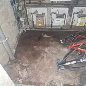 Bild von CLEAR-A-PEST Pest Control Ltd