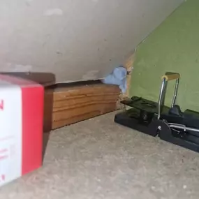 Bild von CLEAR-A-PEST Pest Control Ltd