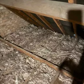 Bild von CLEAR-A-PEST Pest Control Ltd