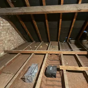 Bild von CLEAR-A-PEST Pest Control Ltd