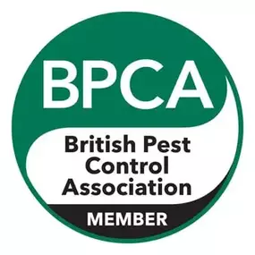 Bild von CLEAR-A-PEST Pest Control Ltd