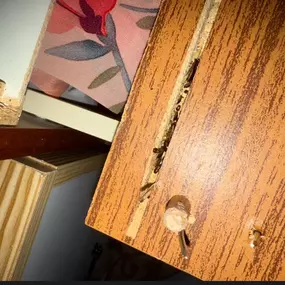 Bild von CLEAR-A-PEST Pest Control Ltd