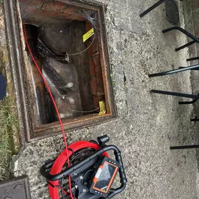 Bild von CLEAR-A-PEST Pest Control Ltd