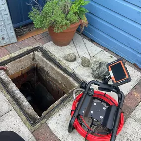 Bild von CLEAR-A-PEST Pest Control Ltd