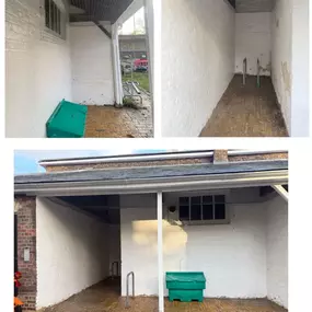 Bild von CLEAR-A-PEST Pest Control Ltd