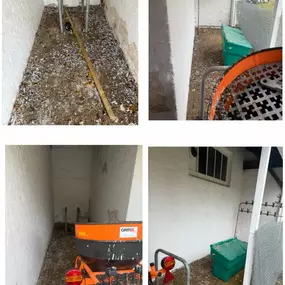 Bild von CLEAR-A-PEST Pest Control Ltd