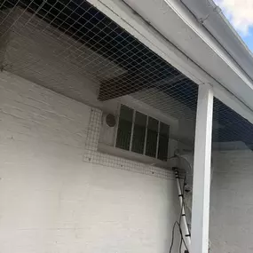 Bild von CLEAR-A-PEST Pest Control Ltd