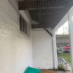 Bild von CLEAR-A-PEST Pest Control Ltd