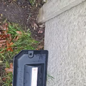 Bild von CLEAR-A-PEST Pest Control Ltd