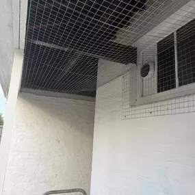 Bild von CLEAR-A-PEST Pest Control Ltd