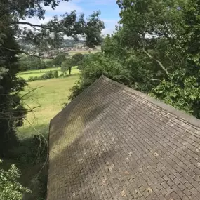 Bild von Ridgley Roofing