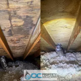 A before-and-after photo shows successful attic mold remediation, with the left side depicting mold damage and the right side showing clean, restored wood.