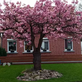 Bild von Kurzzeitmiete Hasehaus