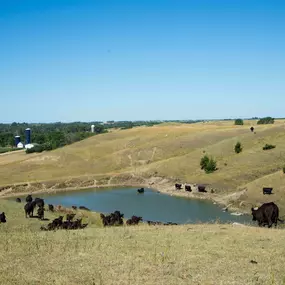 Bild von Northwest Veterinary and Supply - Mitchell Vet Shack