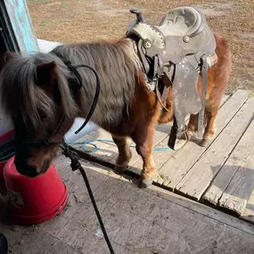 Bild von Northwest Veterinary and Supply - Mitchell Vet Shack