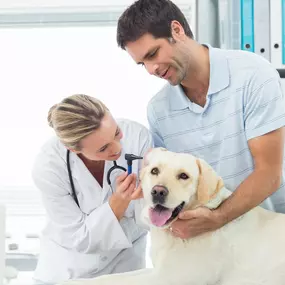 Bild von Ark La Tex Animal Clinic