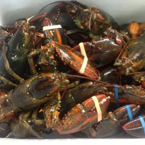 Bild von Augusta Seafood Inc