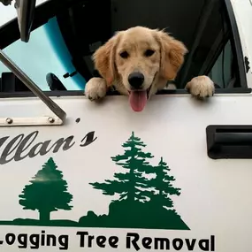 Bild von Allan's Tree Service, LLC