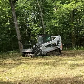 Bild von Allan's Tree Service, LLC